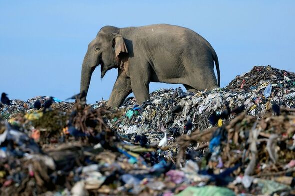 Dangerous landfill