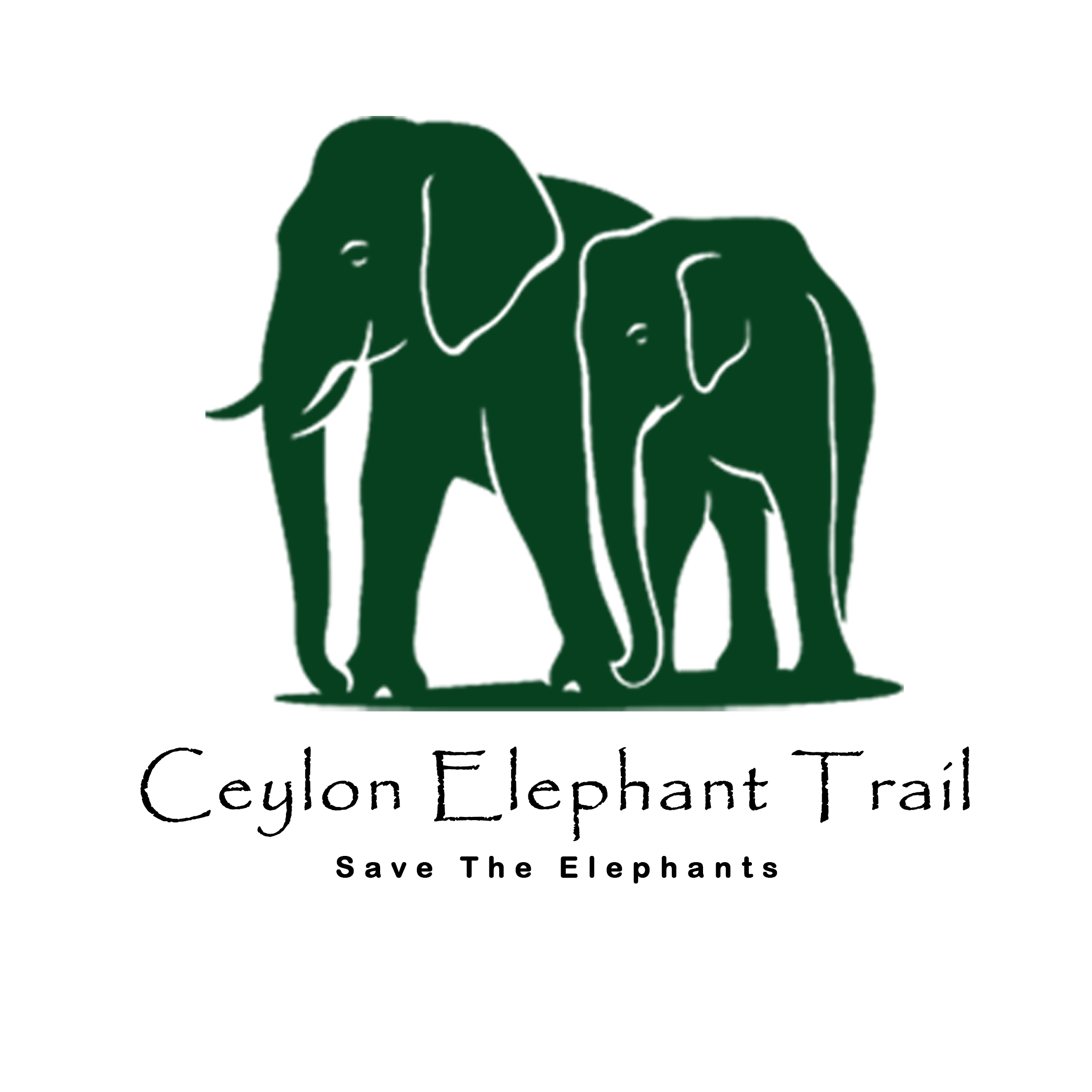Ceylon Elephant Trail - Save The Elephants